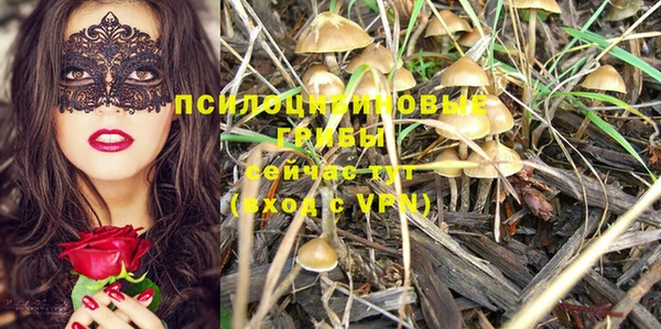 не бодяженный Володарск