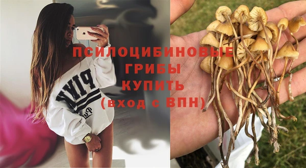 гидра Верхнеуральск